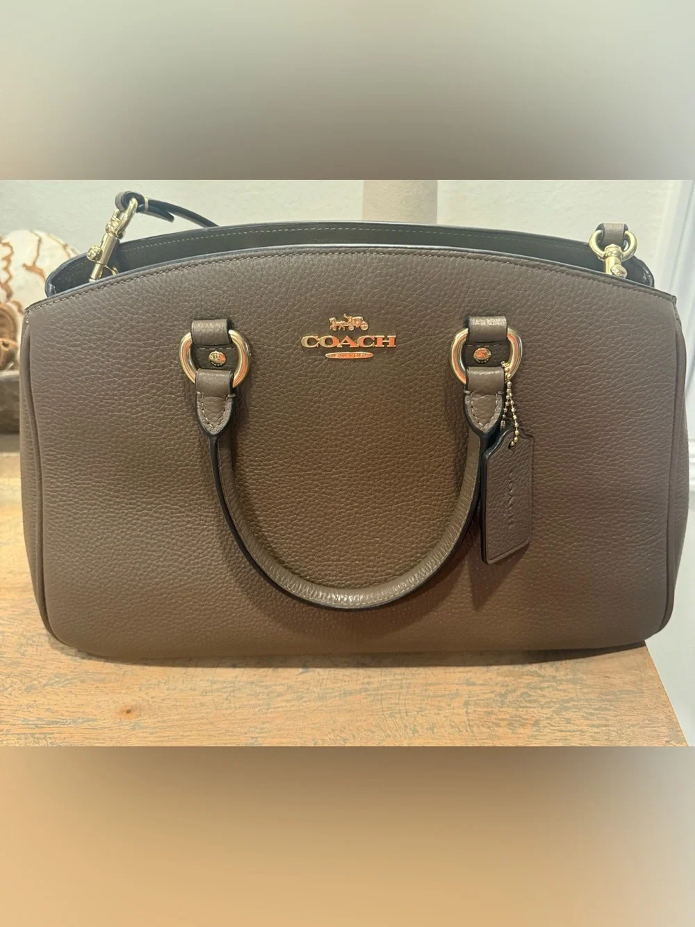 Coach Savannah Carryall Bag
